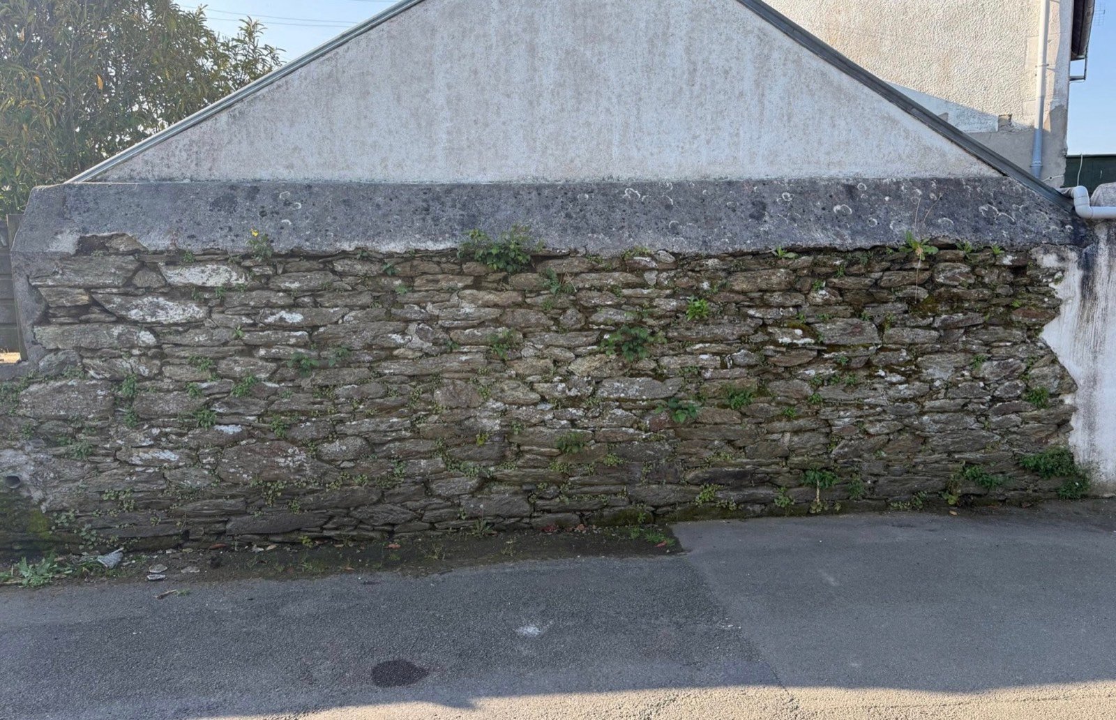 Mur en pierre avant rénovation, joints dégradés et végétation